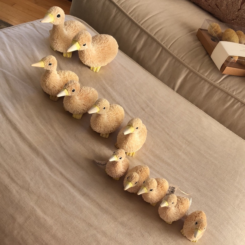 🦆NWT Pottery barn bottle brush ducklings duck set